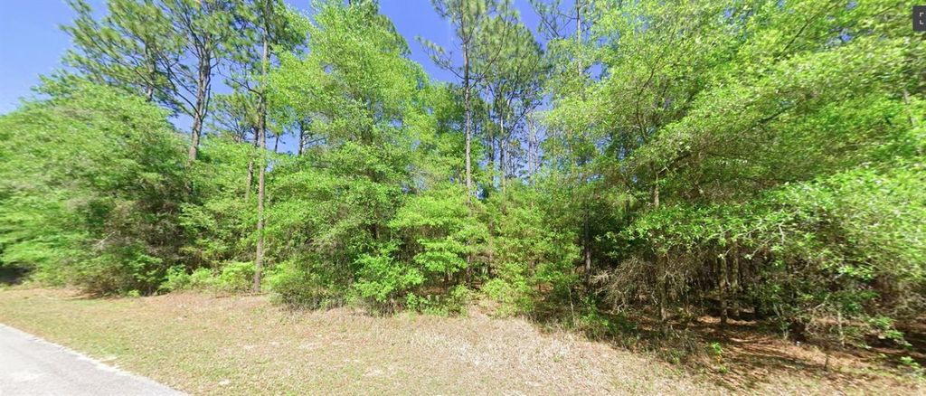 0 SW 201 STREET, Dunnellon, FL 34431