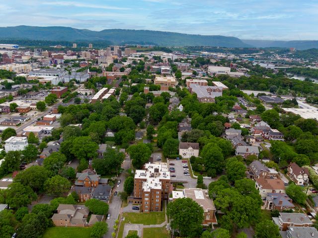 900 Vine Street 3, Chattanooga, TN 37403