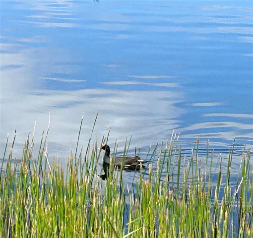 19365 WATER OAK DRIVE J107, Port Charlotte, FL 33948