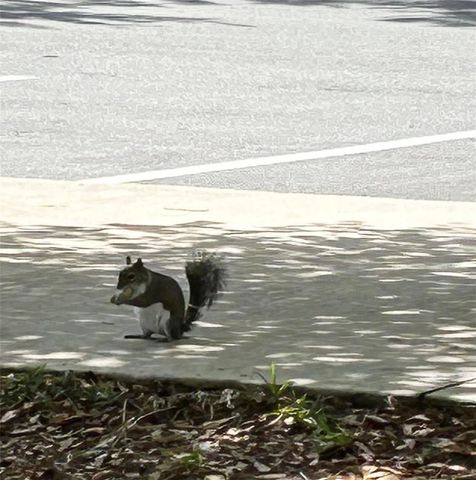 19365 WATER OAK DRIVE J107, Port Charlotte, FL 33948