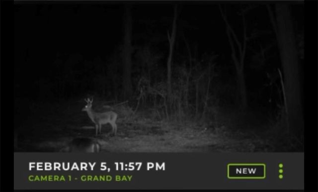 13200 Old Pascagoula Road, Grand Bay, AL 36541