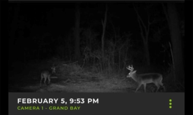 13200 Old Pascagoula Road, Grand Bay, AL 36541
