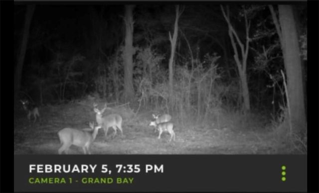 13200 Old Pascagoula Road, Grand Bay, AL 36541