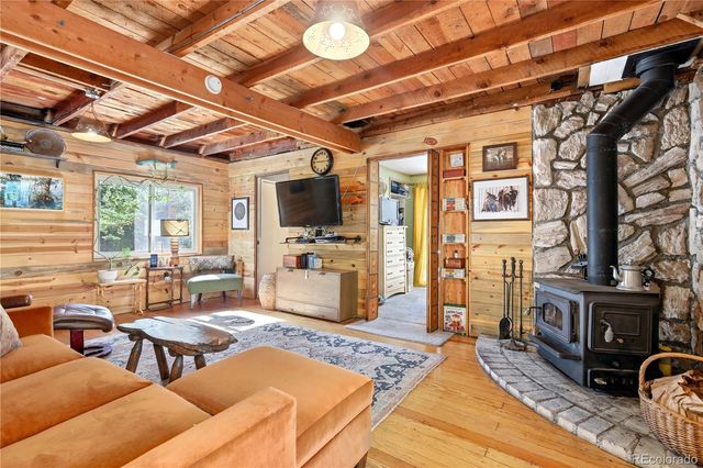 14550 S Elk Creek Road, Pine, CO 80470