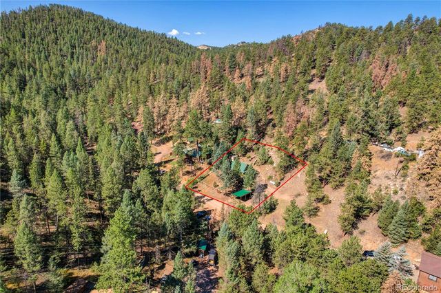 14550 S Elk Creek Road, Pine, CO 80470