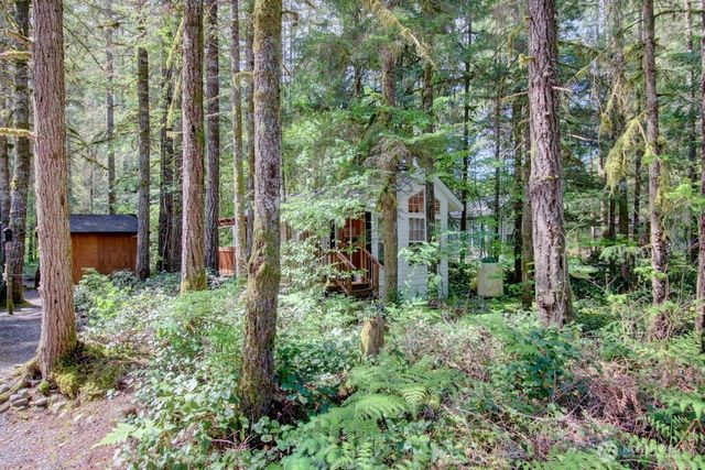 134 Drial Loop, Deming, WA 98244