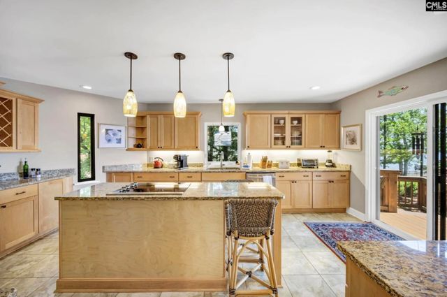 1145 Indian Summer Point, Chapin, SC 29036