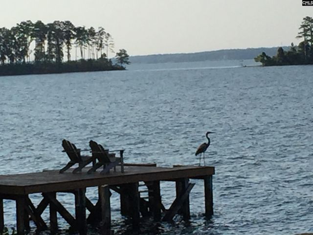 1145 Indian Summer Point, Chapin, SC 29036