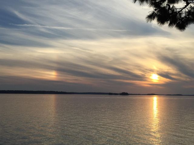 1145 Indian Summer Point, Chapin, SC 29036