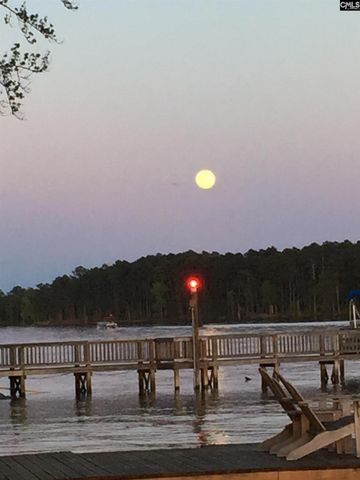 1145 Indian Summer Point, Chapin, SC 29036