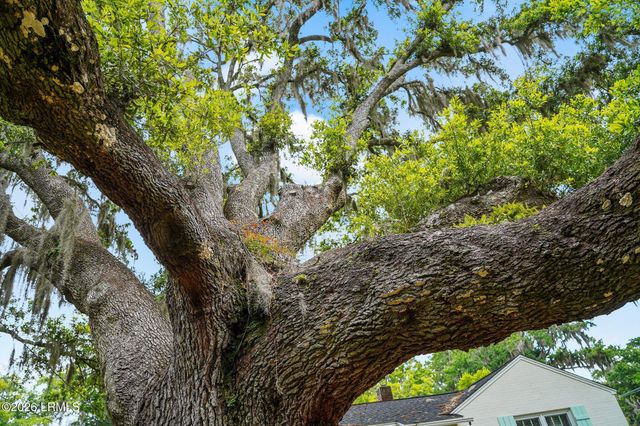 1119 Lafayette Street, Beaufort, SC 29902