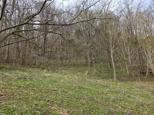 142 Tobe Lane, Celina, TN 38551