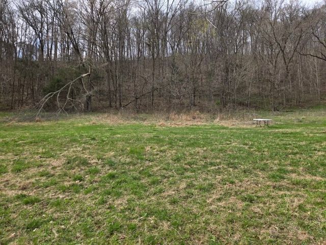 142 Tobe Lane, Celina, TN 38551