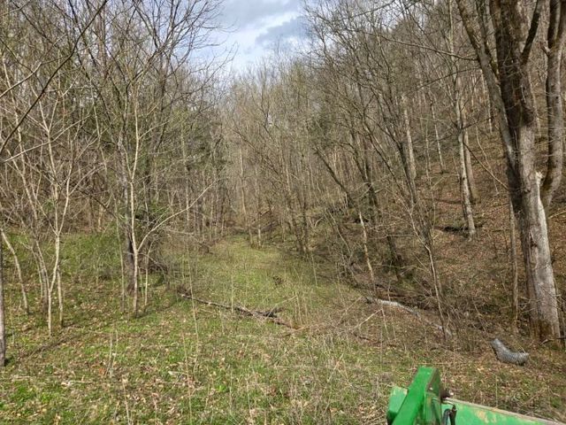 142 Tobe Lane, Celina, TN 38551