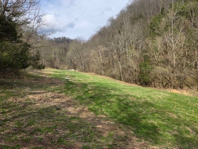 142 Tobe Lane, Celina, TN 38551