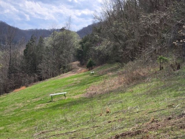 142 Tobe Lane, Celina, TN 38551