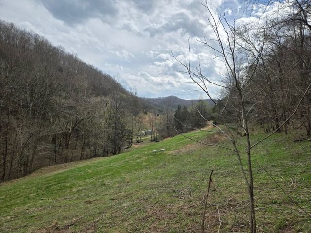 142 Tobe Lane, Celina, TN 38551