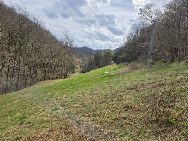 142 Tobe Lane, Celina, TN 38551