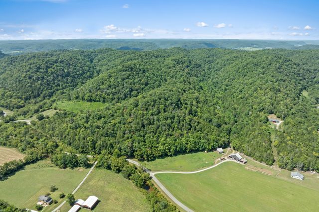 142 Tobe Lane, Celina, TN 38551