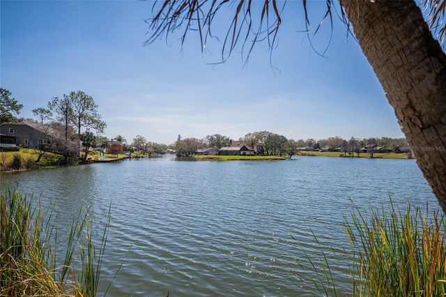 1101 ROLLING WOODS LANE, Lakeland, FL 33813