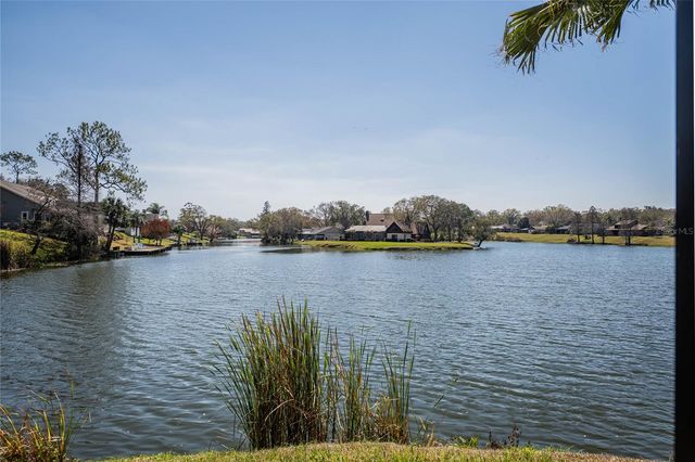 1101 ROLLING WOODS LANE, Lakeland, FL 33813