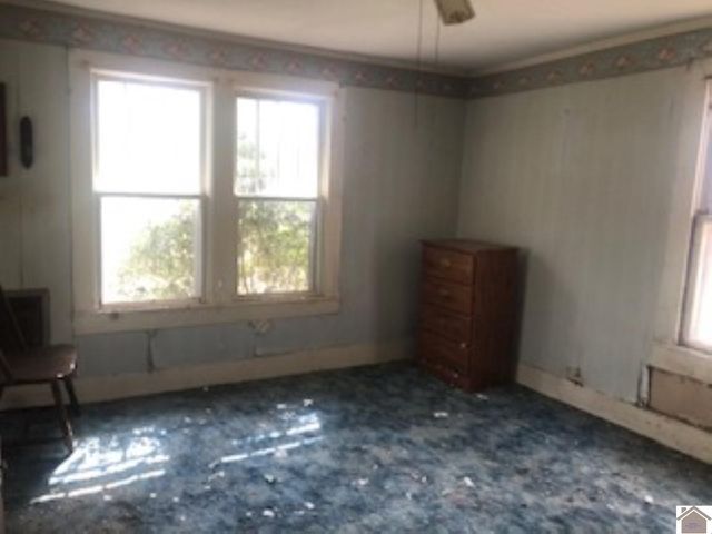 5616 State Route 339 South, Mayfield, KY 42066