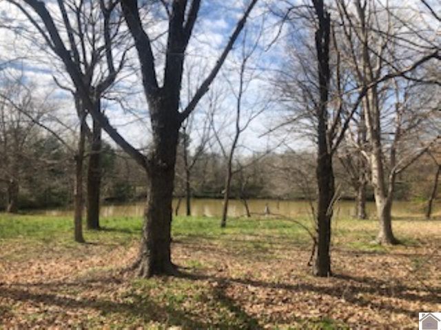 5616 State Route 339 South, Mayfield, KY 42066