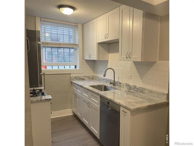 146 N Logan Street 1-3, Denver, CO 80203