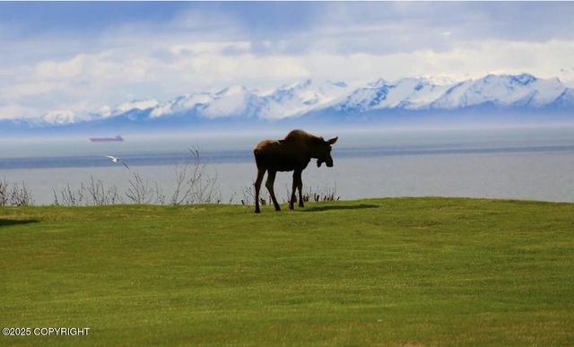 67480 Halibut Road, Ninilchik, AK 99639