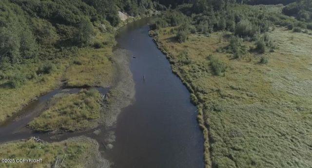 67480 Halibut Road, Ninilchik, AK 99639