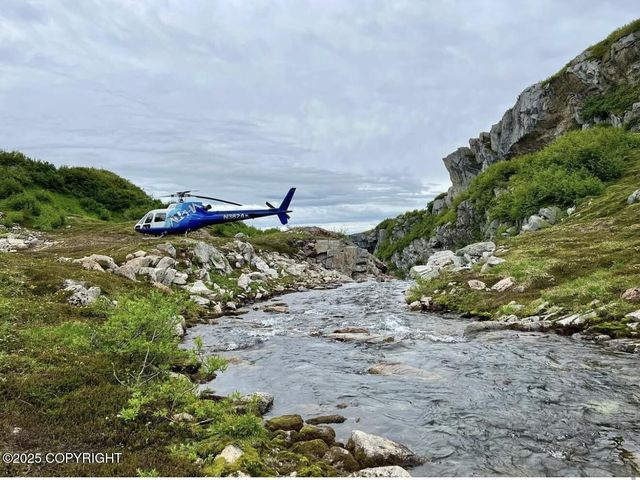 67480 Halibut Road, Ninilchik, AK 99639