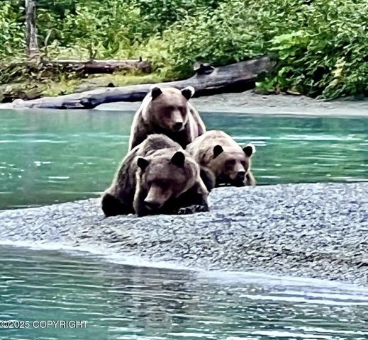 67480 Halibut Road, Ninilchik, AK 99639