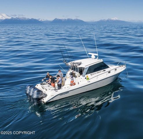 67480 Halibut Road, Ninilchik, AK 99639