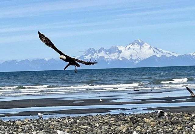 67480 Halibut Road, Ninilchik, AK 99639