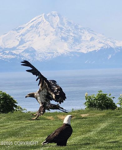 67480 Halibut Road, Ninilchik, AK 99639