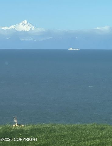 67480 Halibut Road, Ninilchik, AK 99639