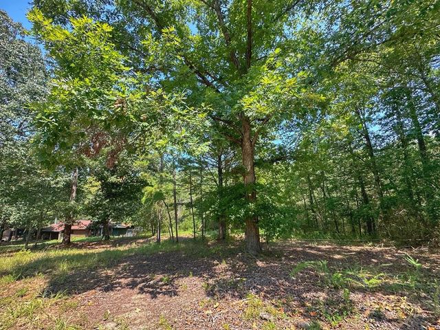 877 Beaumont Beach Road, Dover, AR 72837