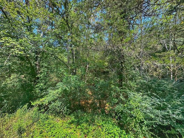 877 Beaumont Beach Road, Dover, AR 72837