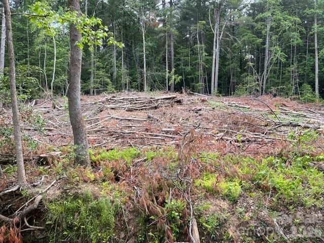 TBD Fowler Road, Granite Falls, NC 28630