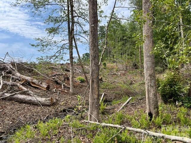 TBD Fowler Road, Granite Falls, NC 28630