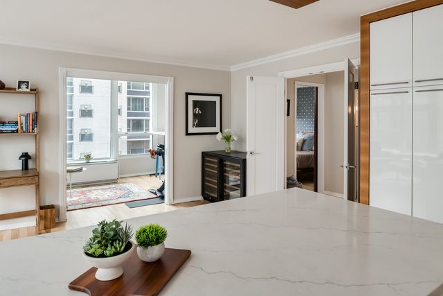 1313 N Ritchie Court 1005, Chicago, IL 60610