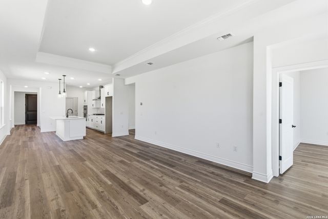 2079 GREEN ASH AVE, New Braunfels, TX 78132