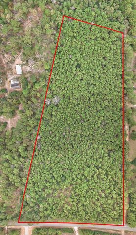 0000 E Williams Road, Conroe, TX 77303