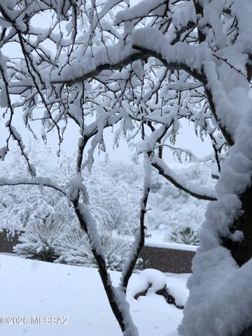 630 N Maxine Drive, Vail, AZ 85641