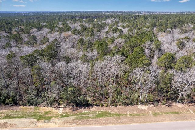 16169 Ridge Oak Dr, Willis, TX 77378