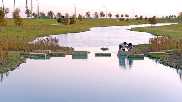 26559 Jolly Prairie Drive, Hockley, TX 77447