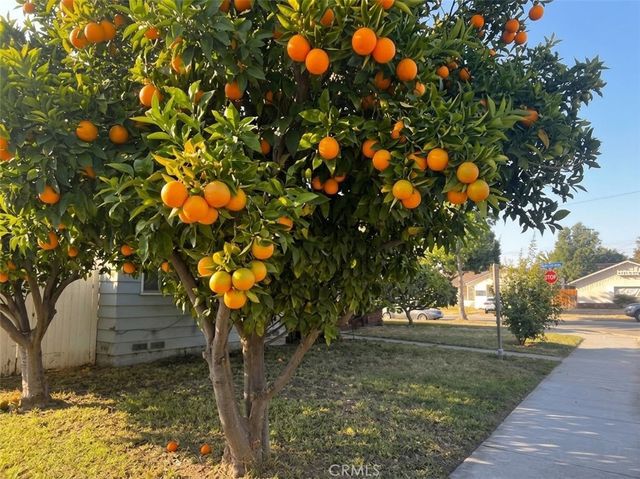 446 N Park Lane, Orange, CA 92867