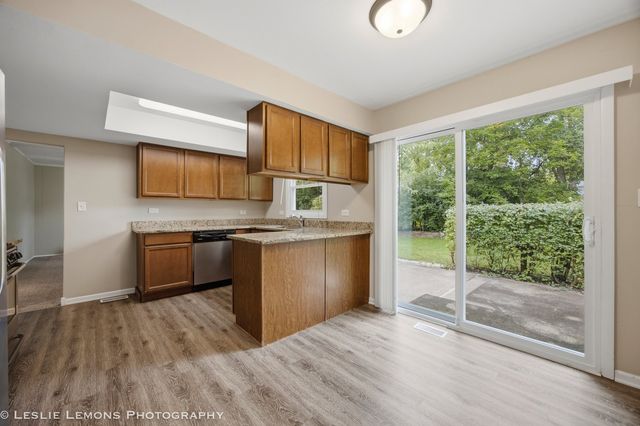 651 WOODHOLLOW Lane, Buffalo Grove, IL 60089
