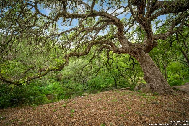 18111 Lake Shore, Helotes, TX 78023