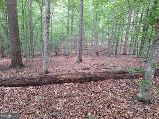 0 ALBANO ROAD, Barboursville, VA 22923